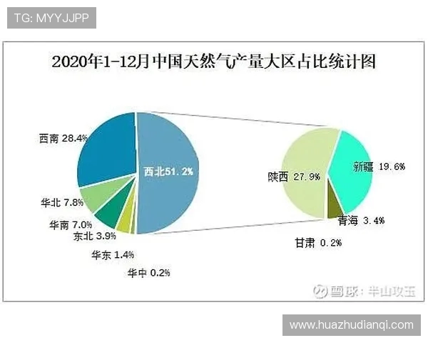 LNG市场灵活性分析及其对全球能源供应链的影响探讨