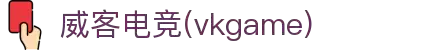 威客电竞(vkgame)-为竞技而生